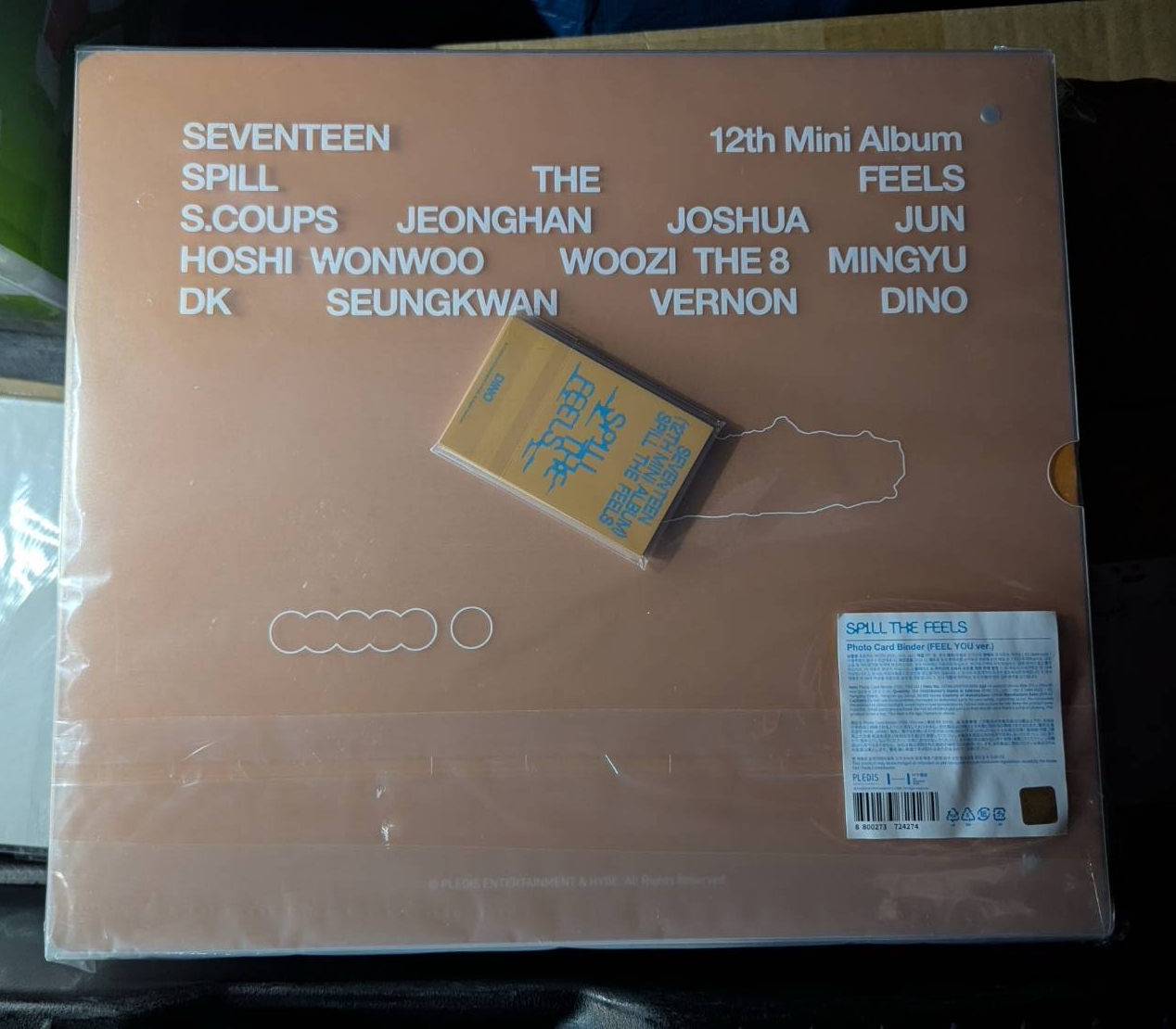 迷十二卡冊 全新