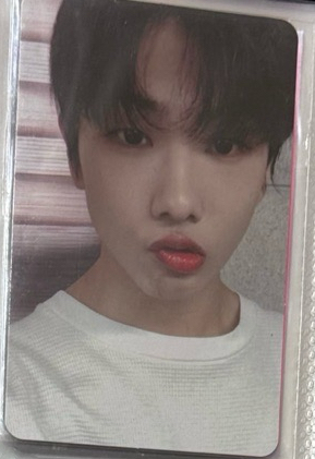 candylab 1.0 自拍星