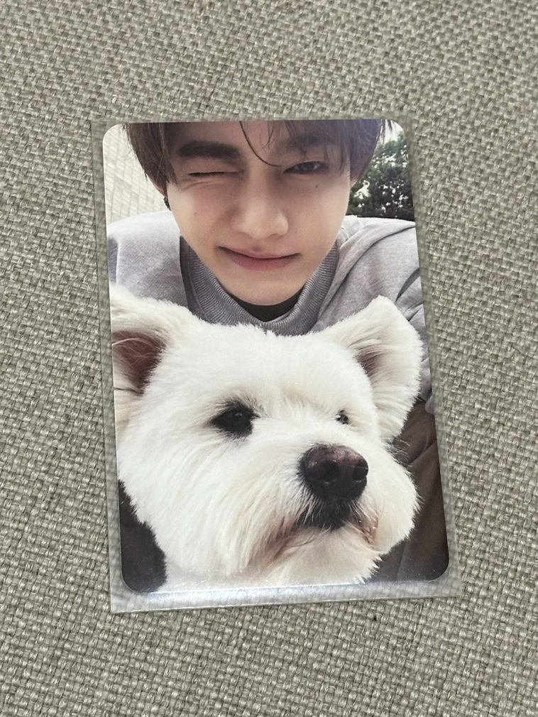 zb1 團體單封 專卡 章昊