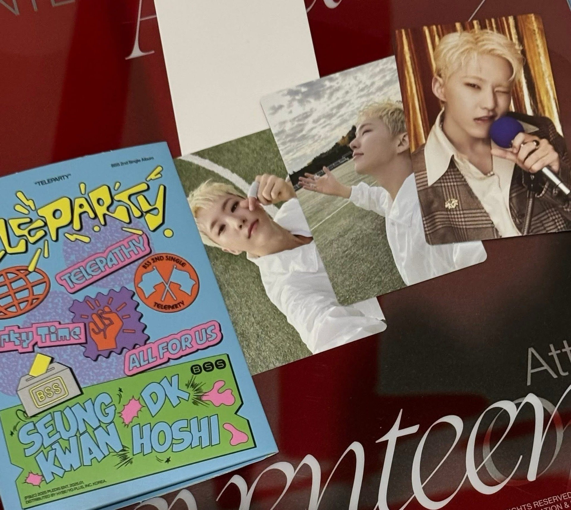 BSS夫碩順電子專-HOSHI權順榮（你家小倉鼠ఇ ◝‿◜ ఇ）