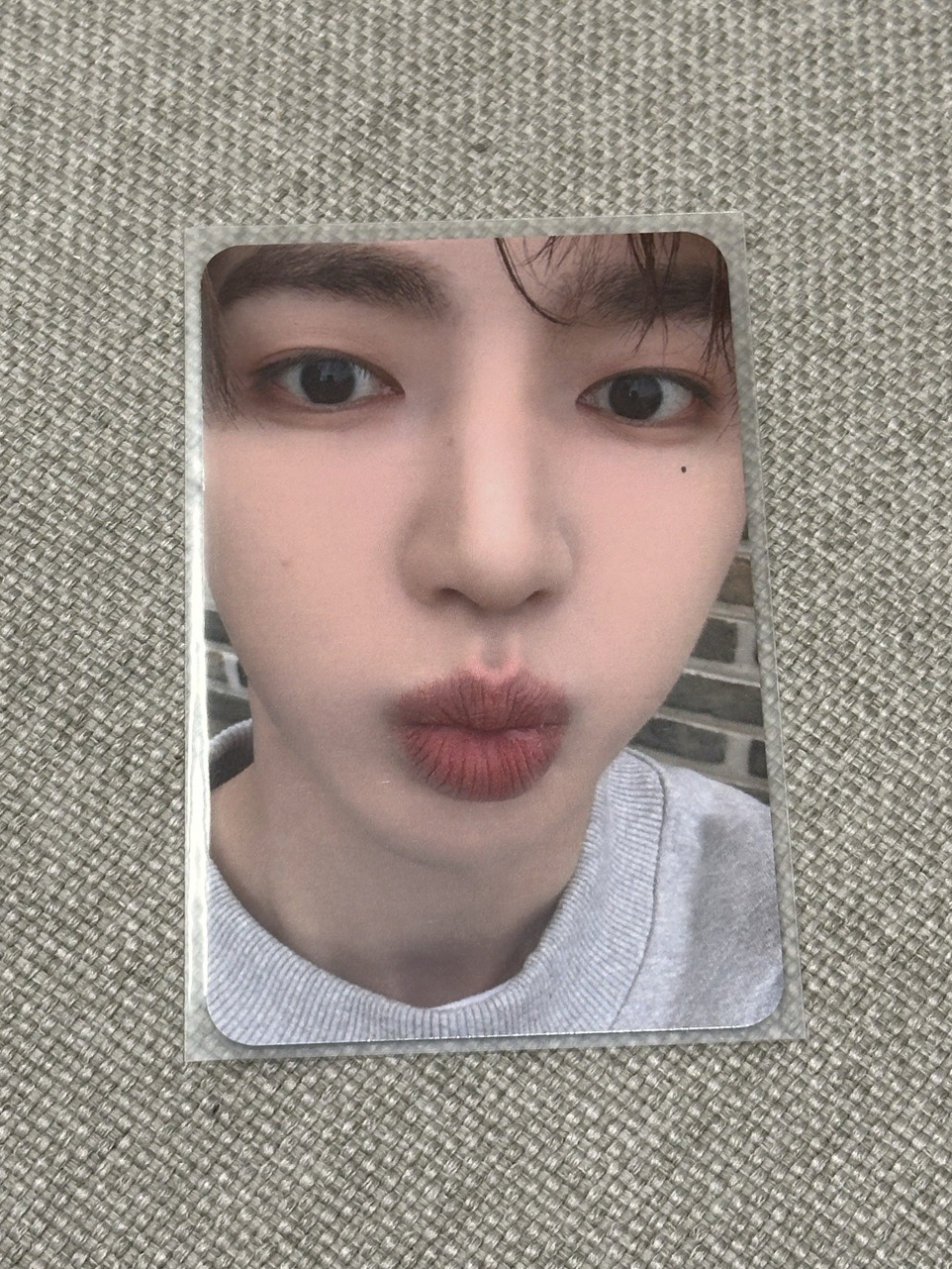 zb1 正規一sw簽售特典