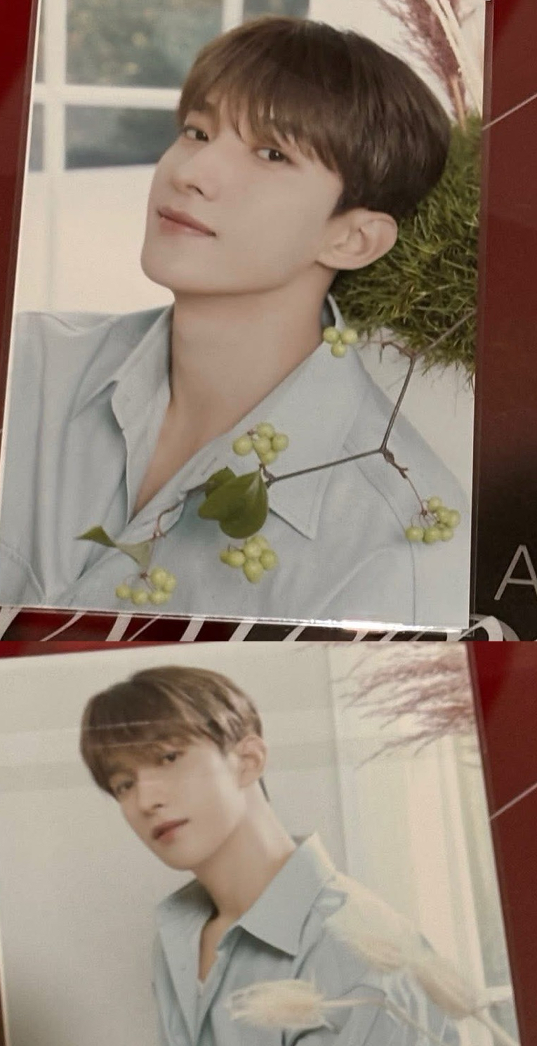 24咖啡廳明信片-DK李碩珉