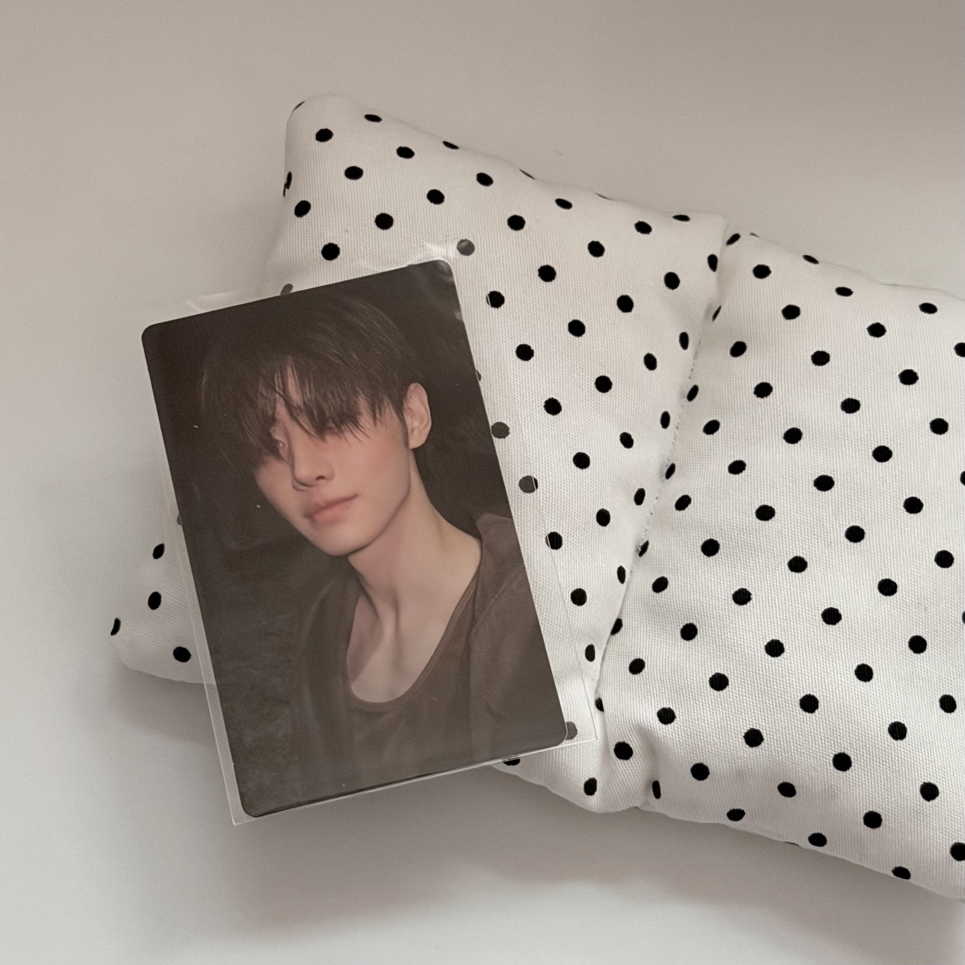 ·̩͙໒꒱·̩͙ 成訓 🪄mini7 MUSINSA特典卡 ◝✩