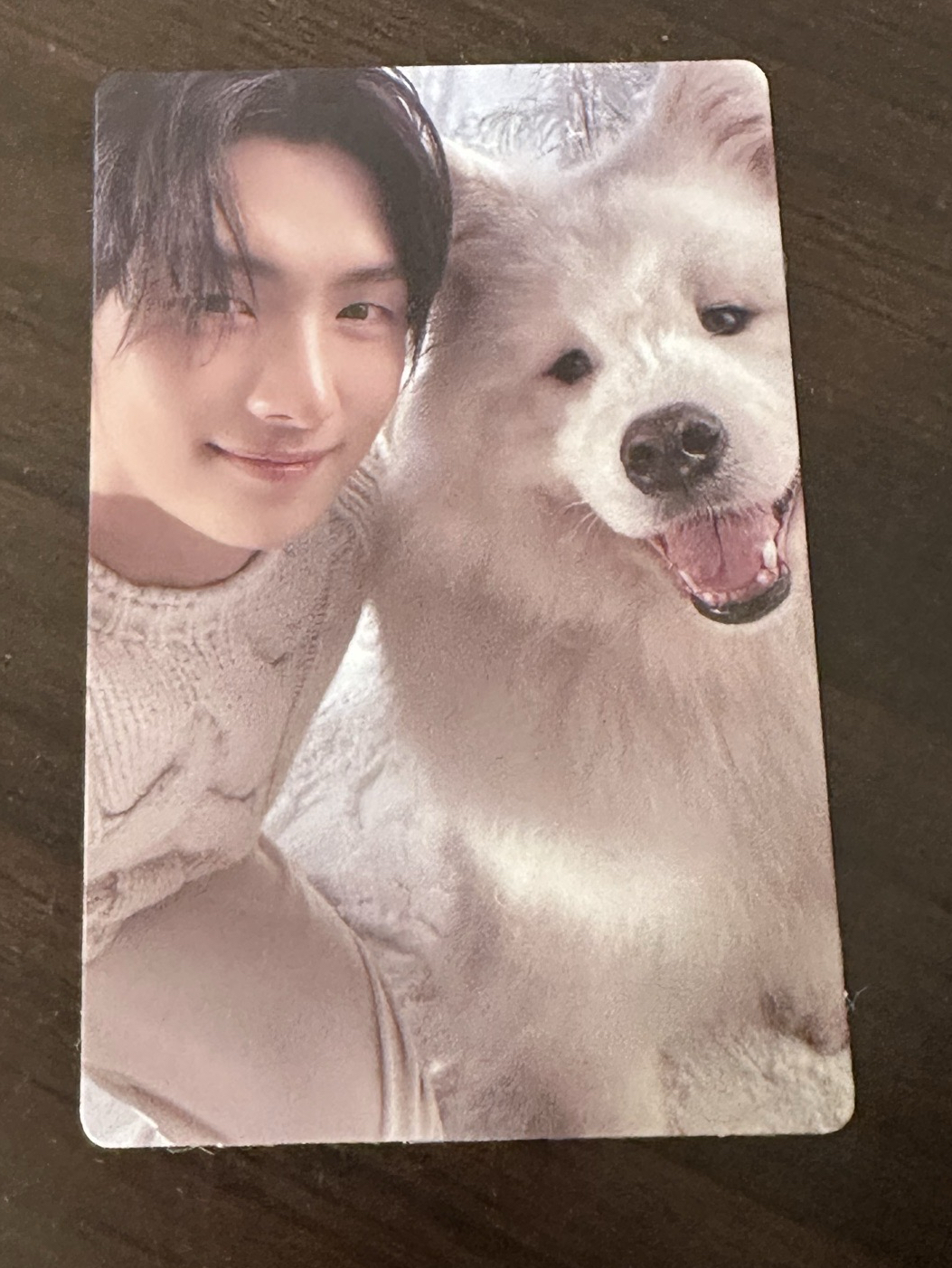 Last Bell 專輯卡 英宰與狗