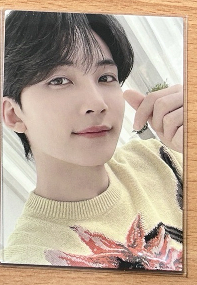 淨漢 22 Home 外套卡