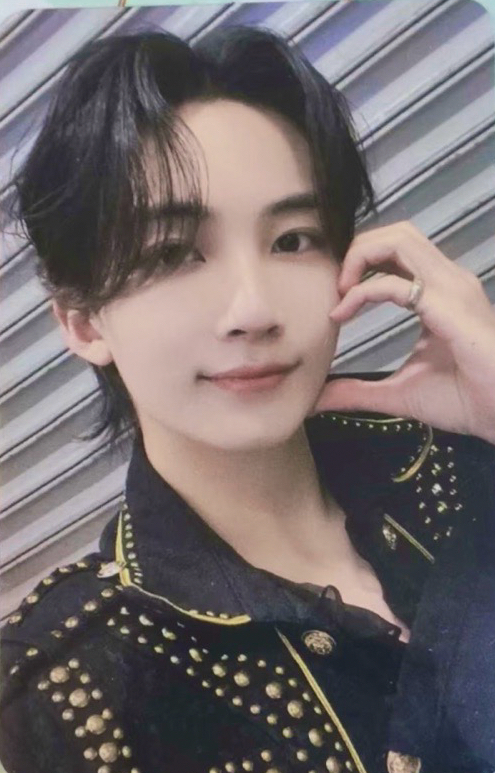 淨漢 正四 語音卡 一直娛F