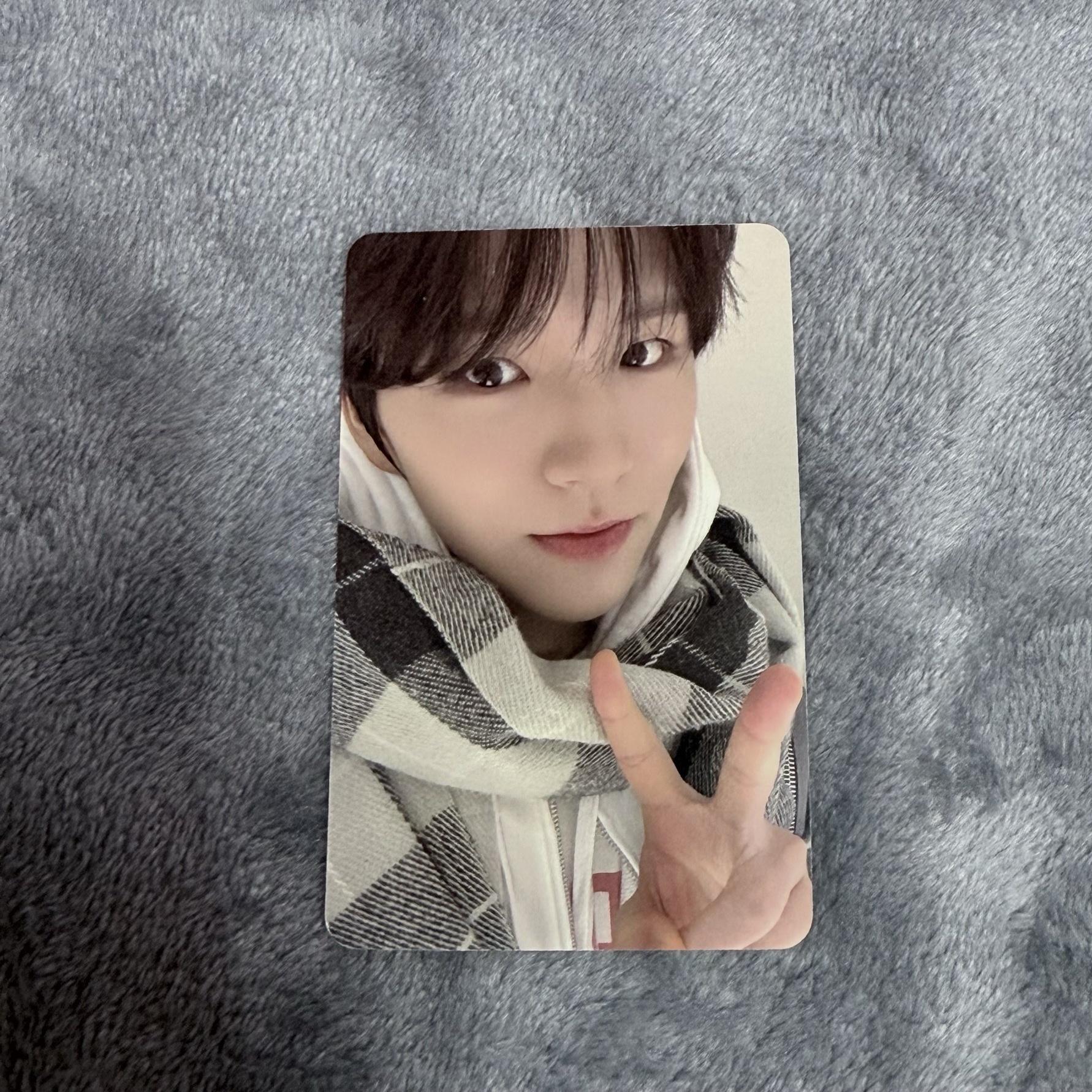 jaehee圍巾小卡