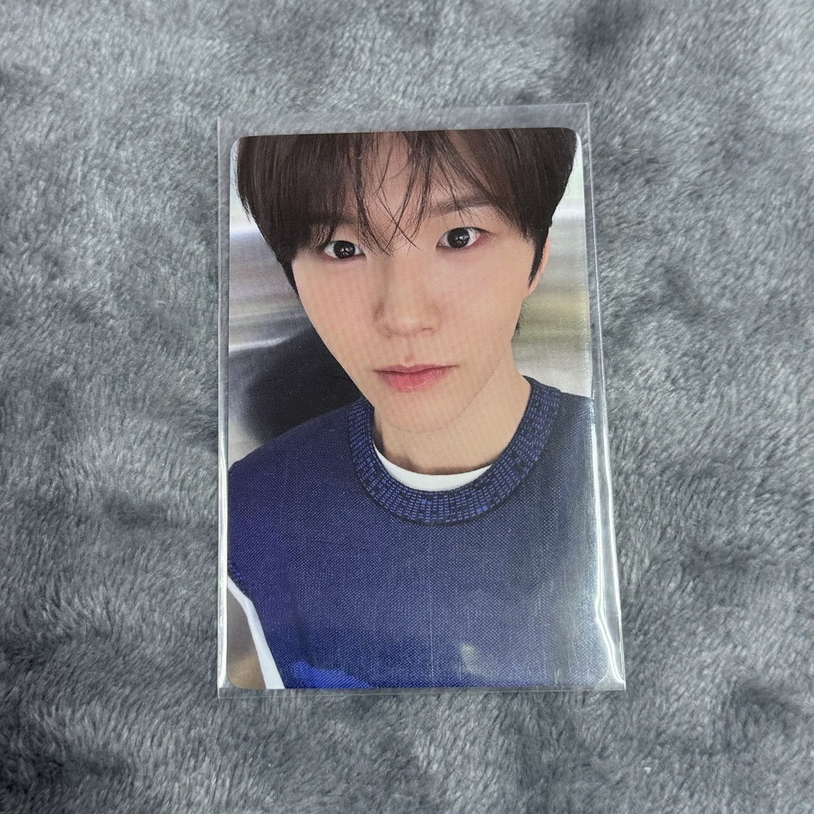 jaehee 中文卡背（禧歡和你栽一起）