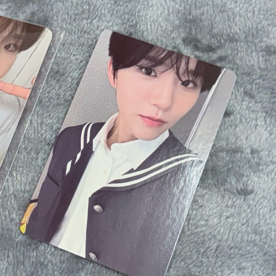 steady 學士服🌳