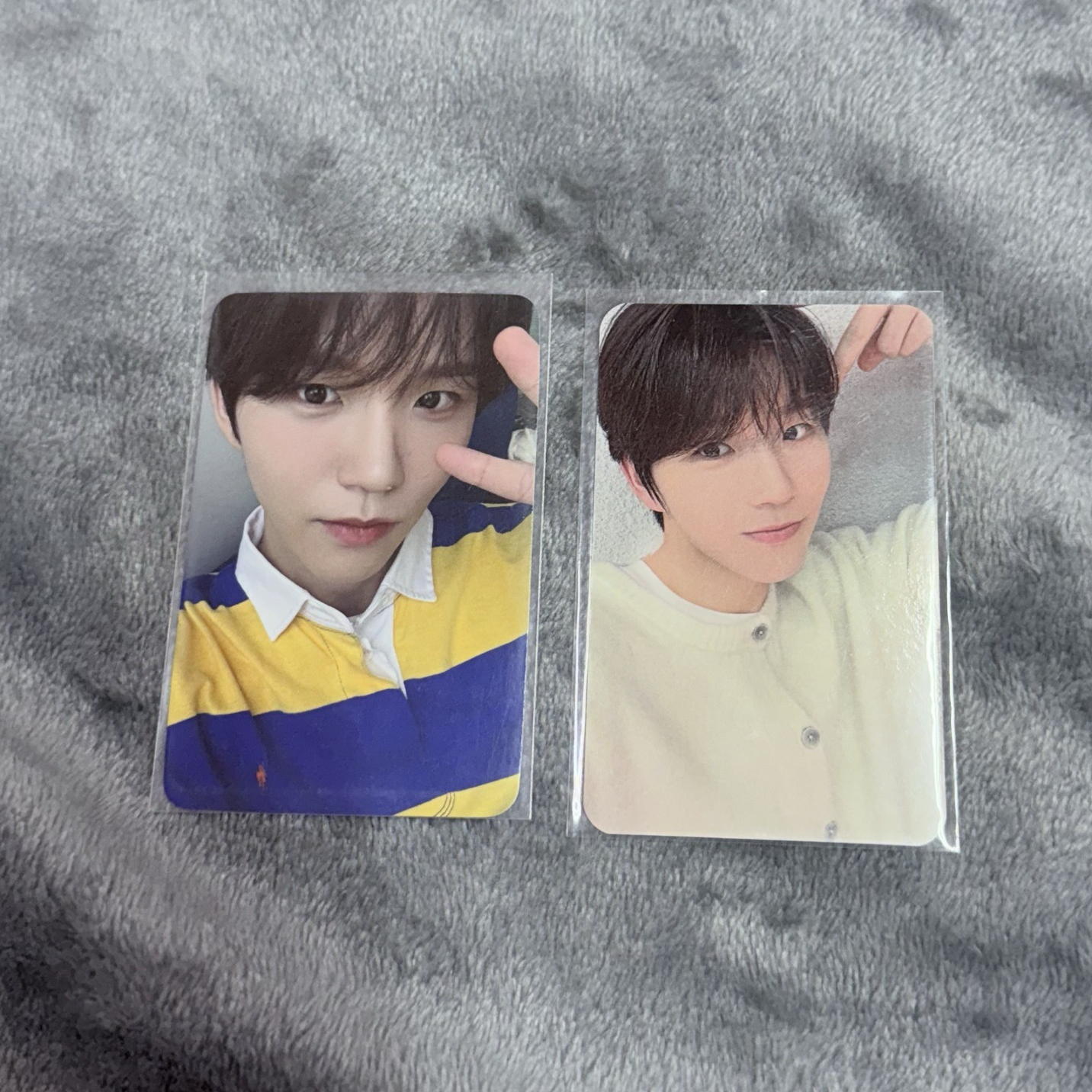 jaehee 小卡 卡背超漂亮