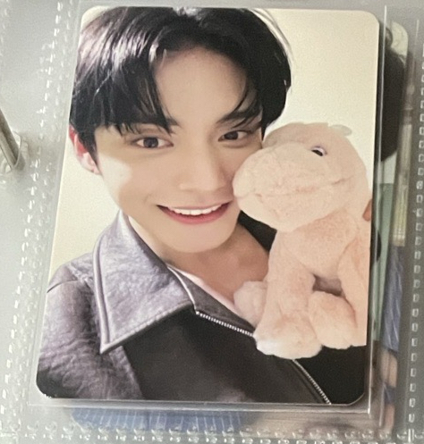 迷二 ms 幸運卡 龍龍 ver.