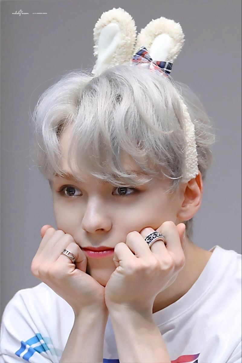 VERNON散卡們🐻‍❄️