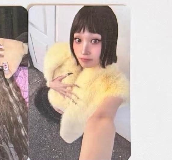 ［另外盤出］ ADP  劉海安 朵拉安 嘟嘟嘟DORA