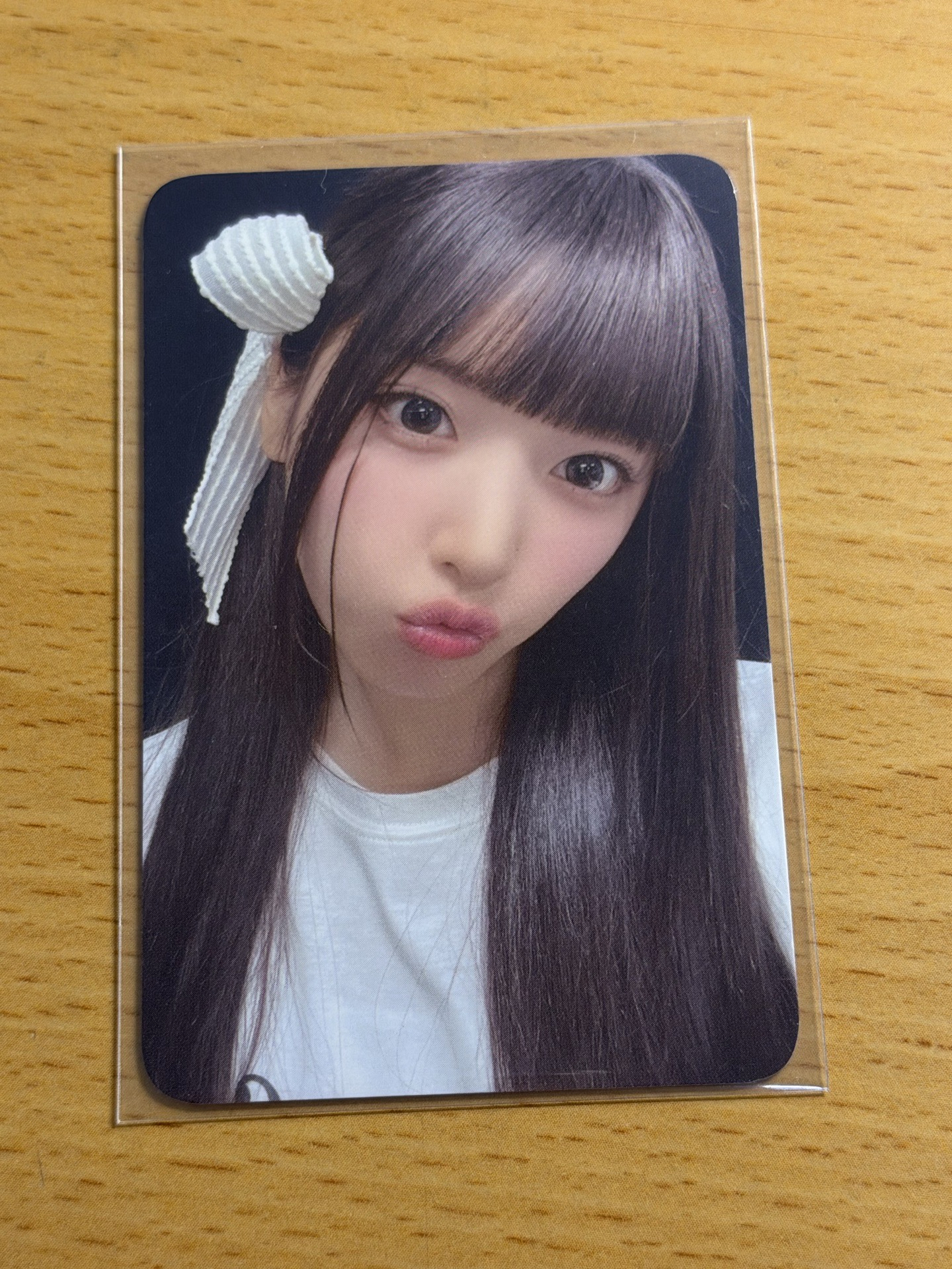 仲夏夜 el 線上 1.0友⭐️