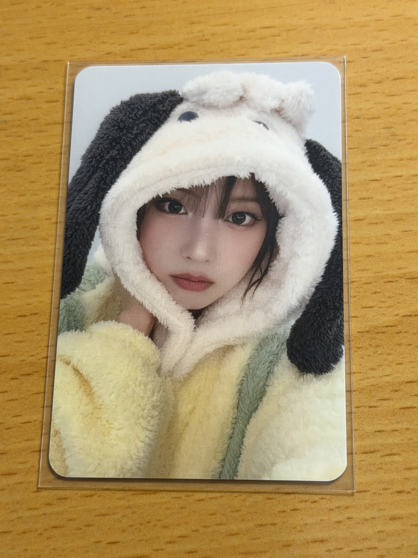 ms 8.0 動物睡衣友🐳