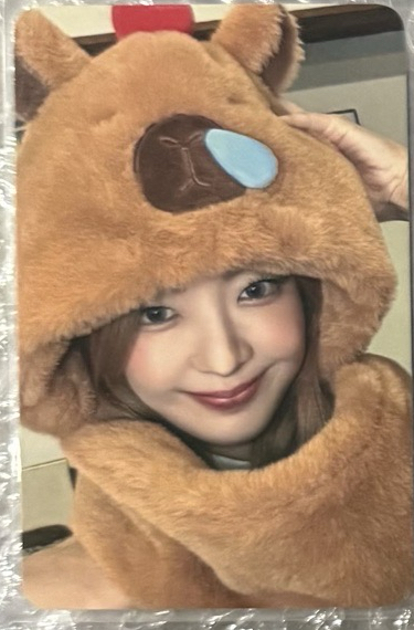 GOLD MS 卡皮巴拉