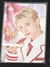 🐈‍⬛阿尼梯子