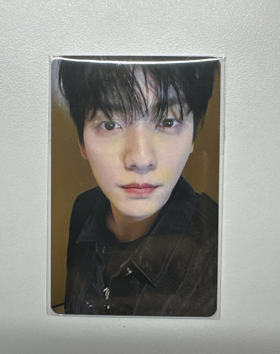 愛知WVS場限彬（有原袋）