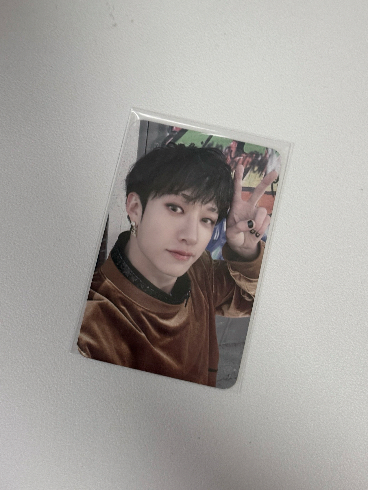 5-STAR mp特典卡燦