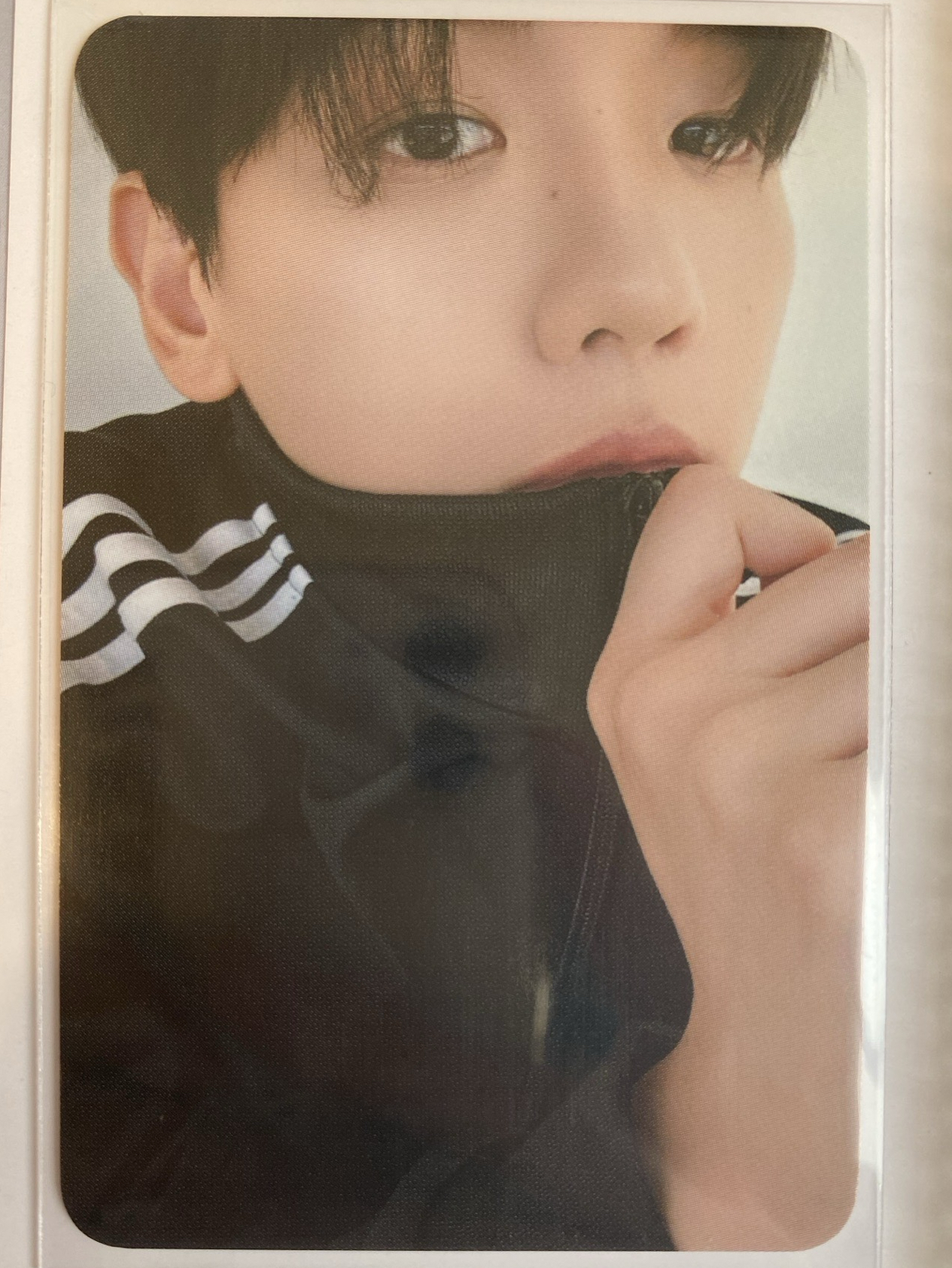 伯賢bolo4 MS3.0簽售卡