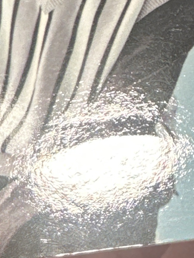 榮 2期&3期會員禮卡