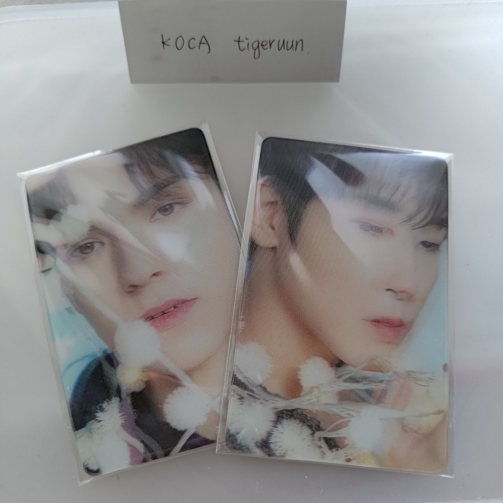 Dicon 小卡 圓佑 瀚率 特典卡