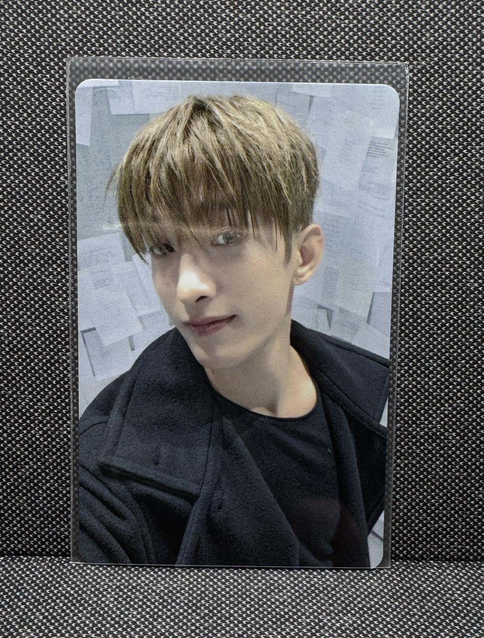 DxS 塔店特典 碩