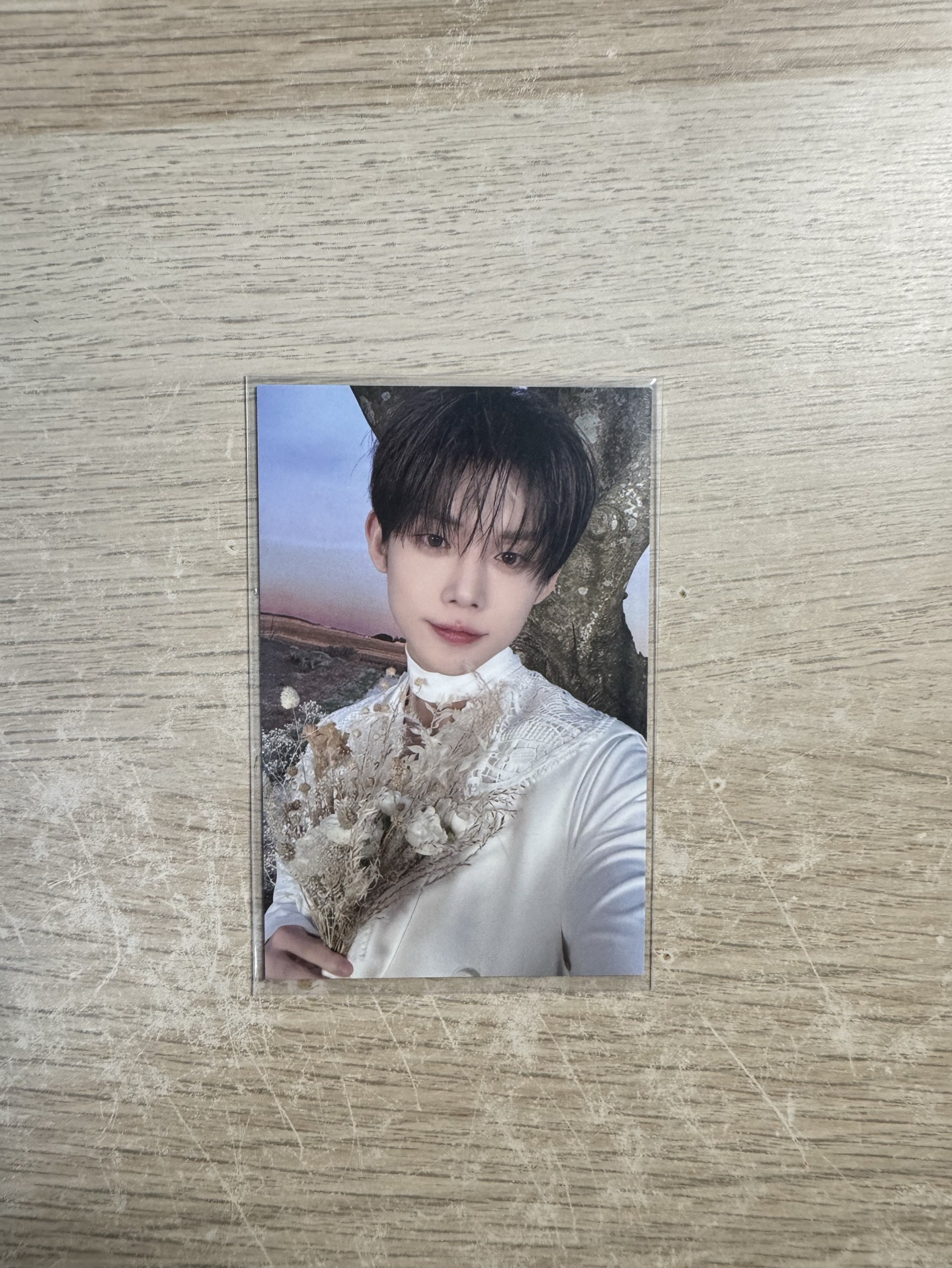 TXT崔然竣-台北場粽卡