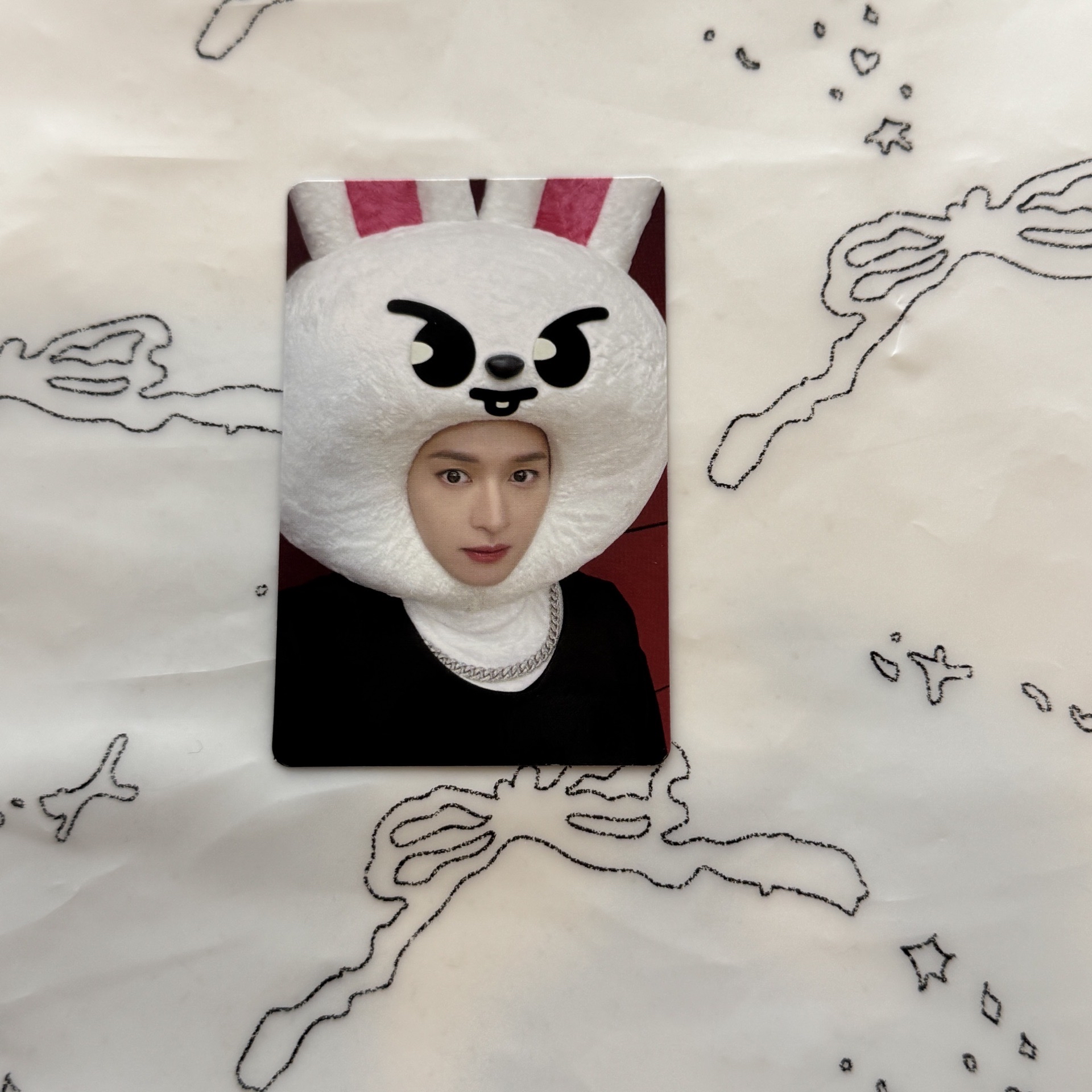 LeeKnow李旻浩 MAXIDENT JYP 動物頭