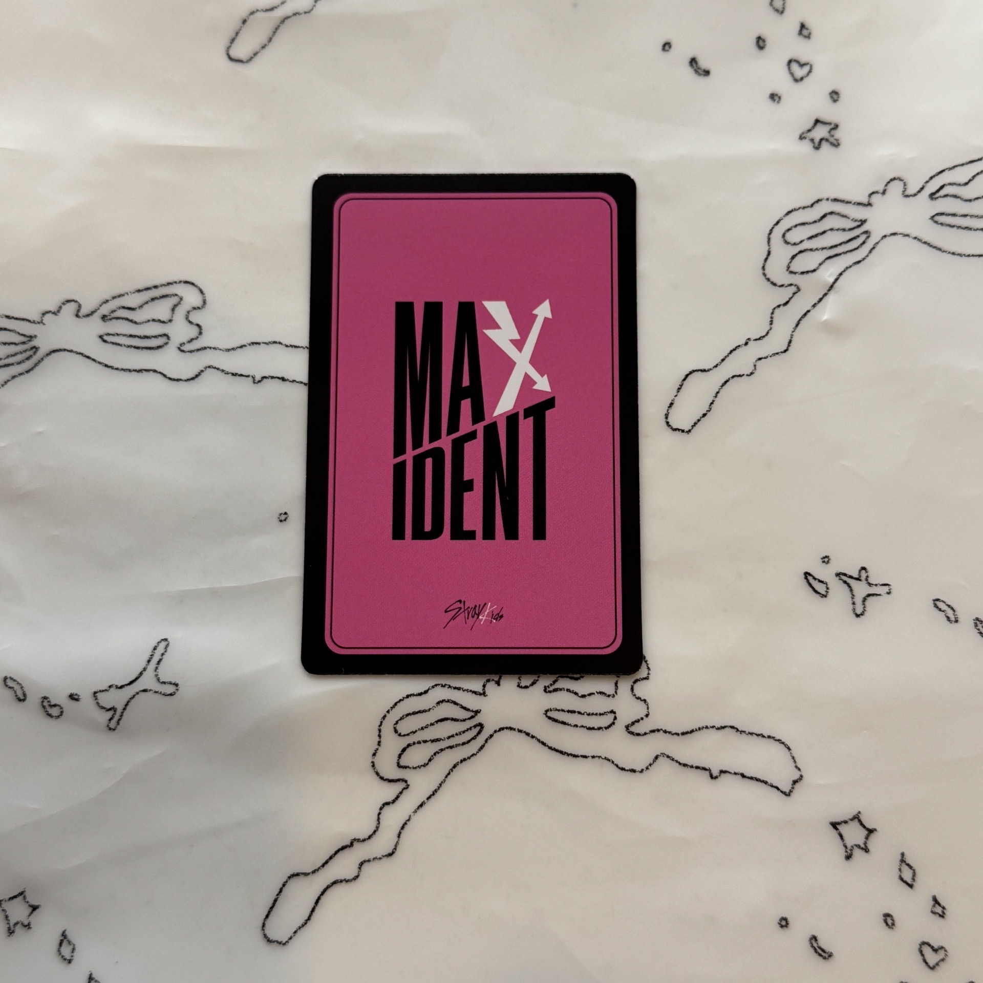 Stray Kids LeeKnow李旻浩 MAXIDENT JYP 動物頭