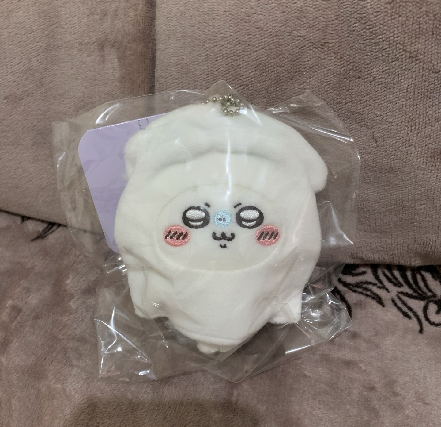 現貨 日本購入 魷魚 小桃 吉伊卡哇