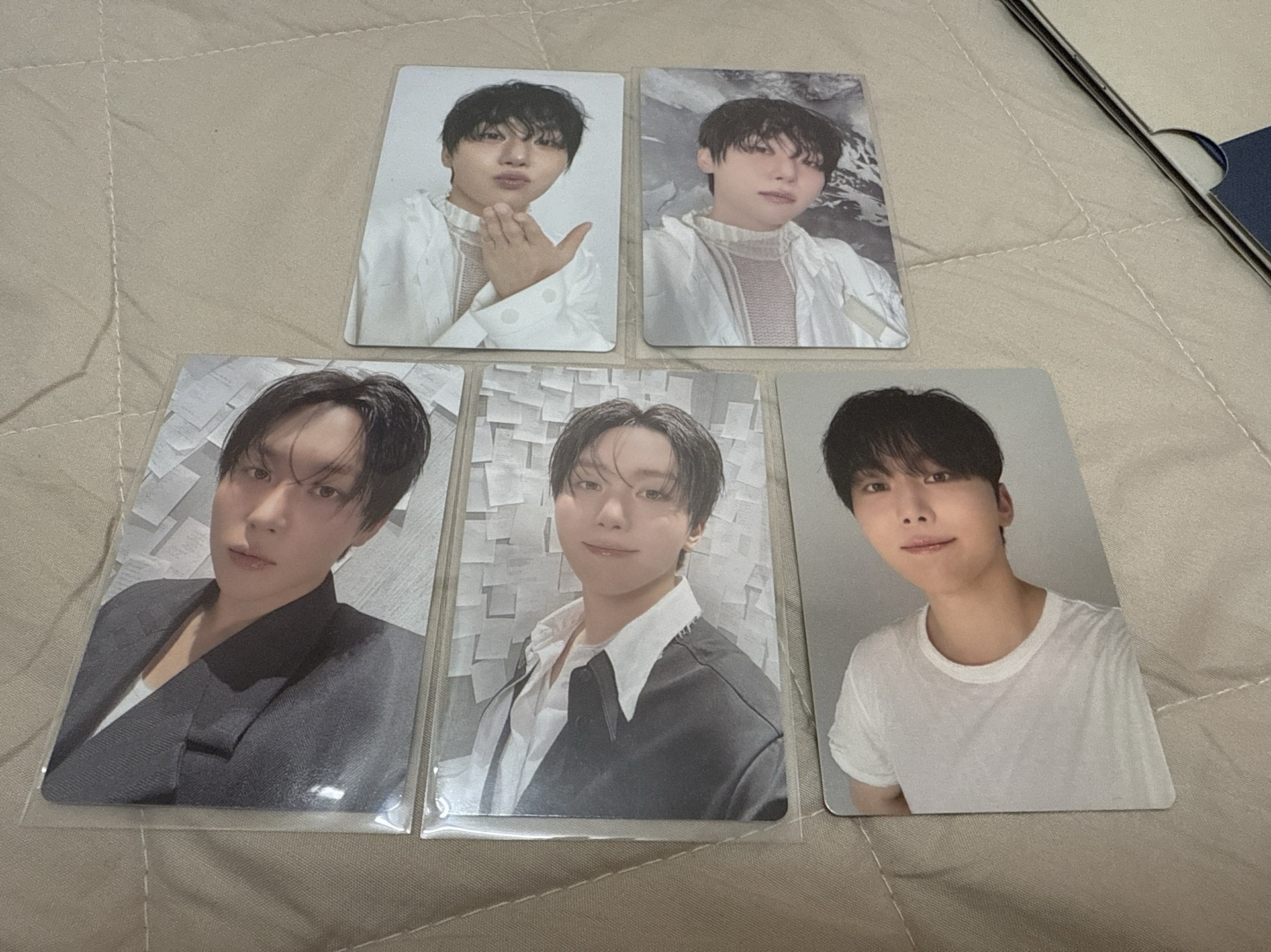 碩寛 Serenade 勝寛專卡們