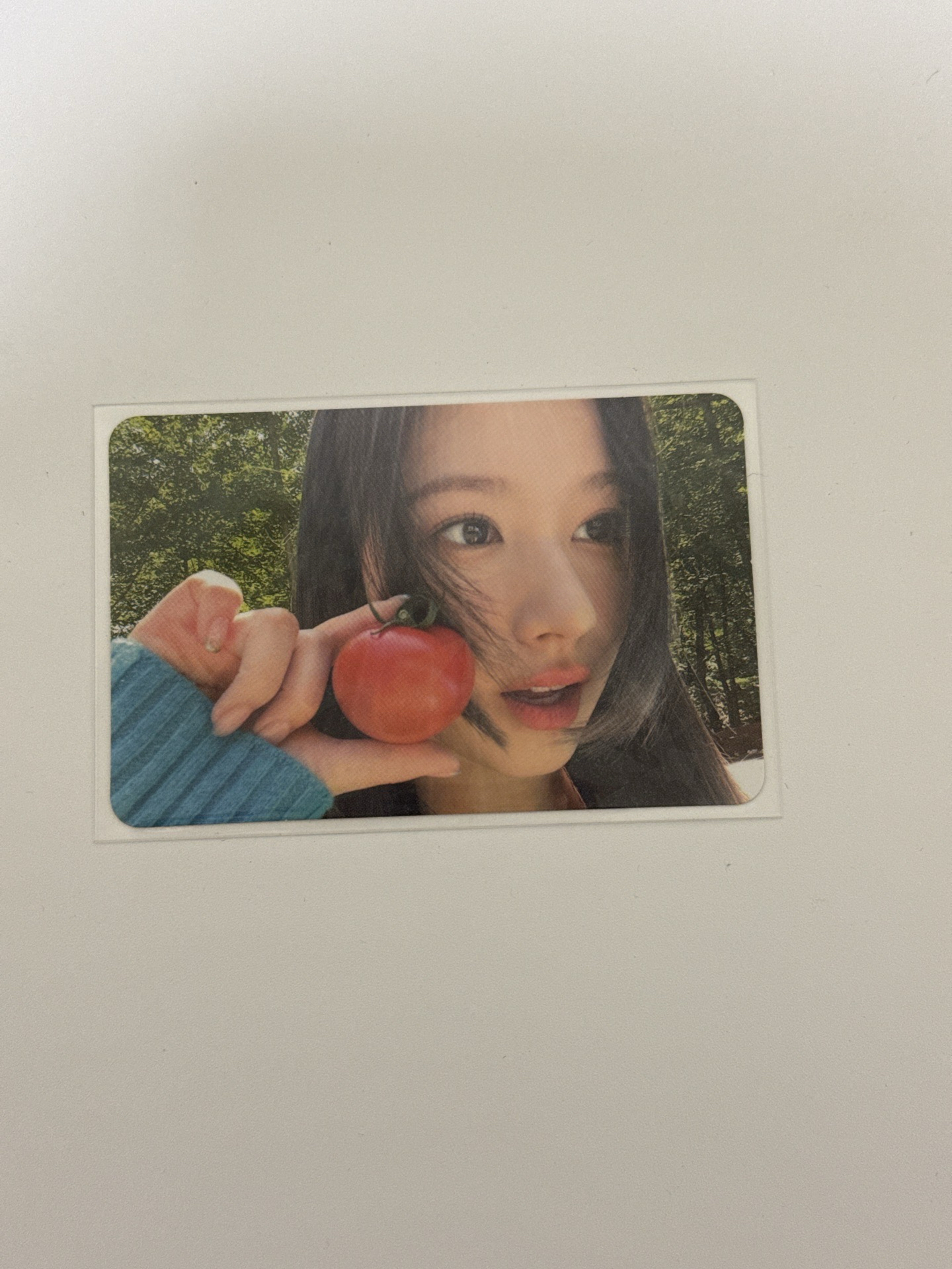 番茄橫版紗本體400綁200不看綁