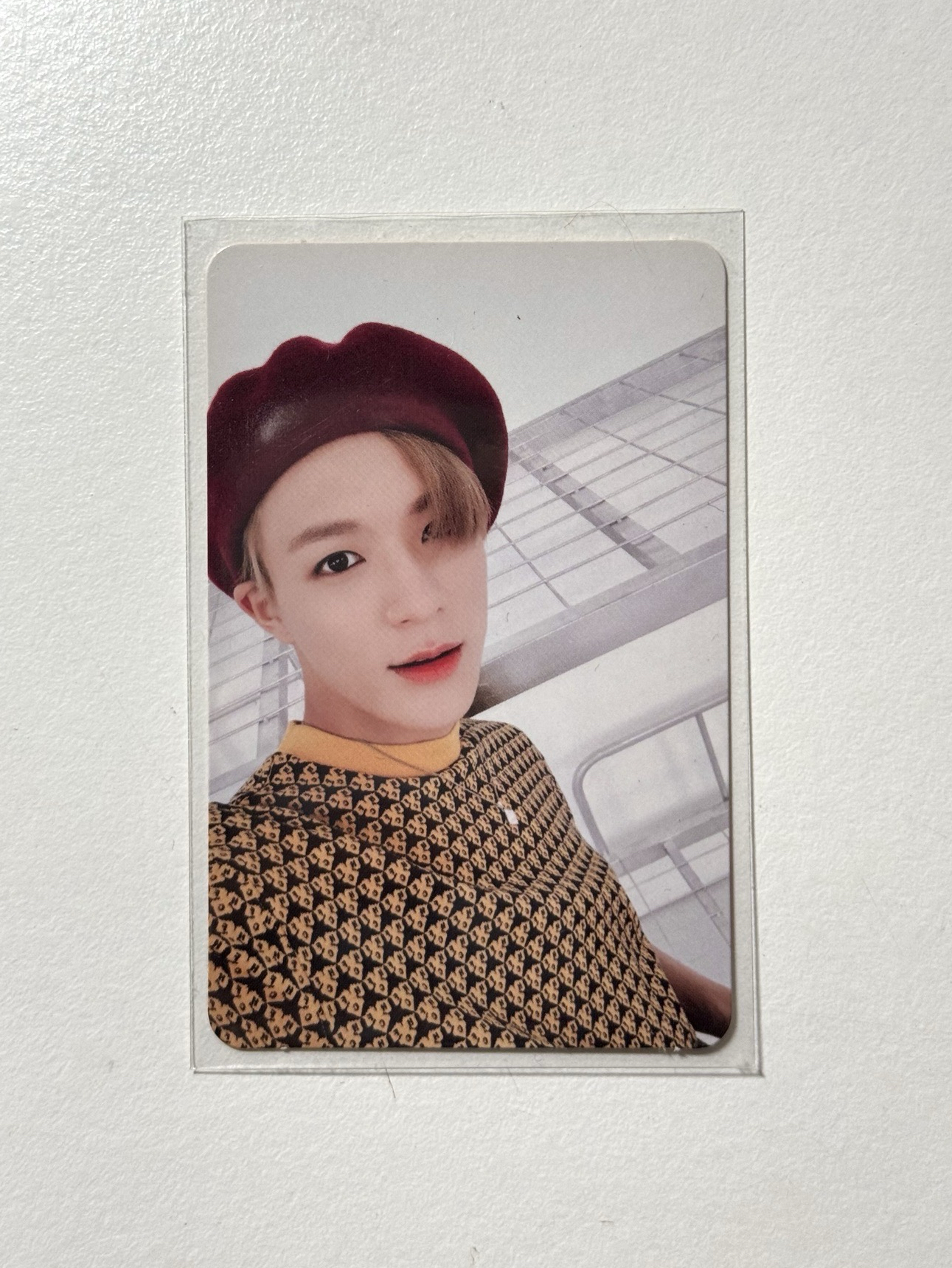 迷二 帝努專卡 we go up