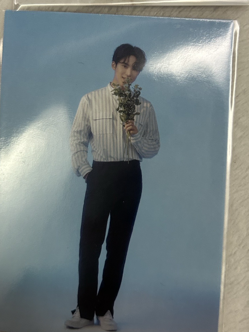 SEVENTEEN 知秀 日卡 日本隨機卡