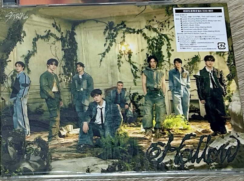 Hollow初回限定A盤未拆專