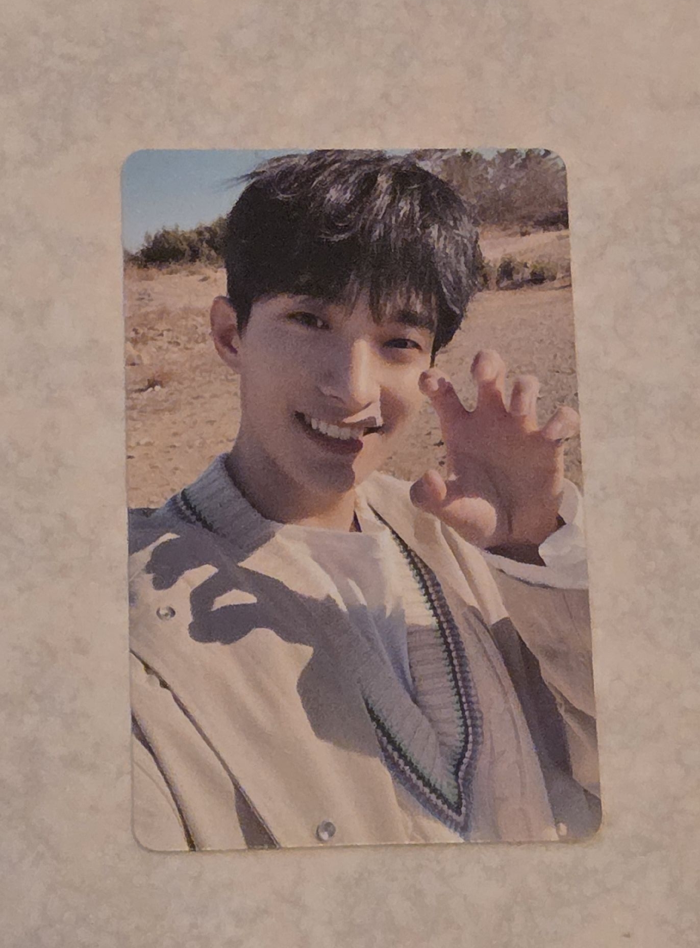 正四WVS特典: 虎爪碩🐯🖐