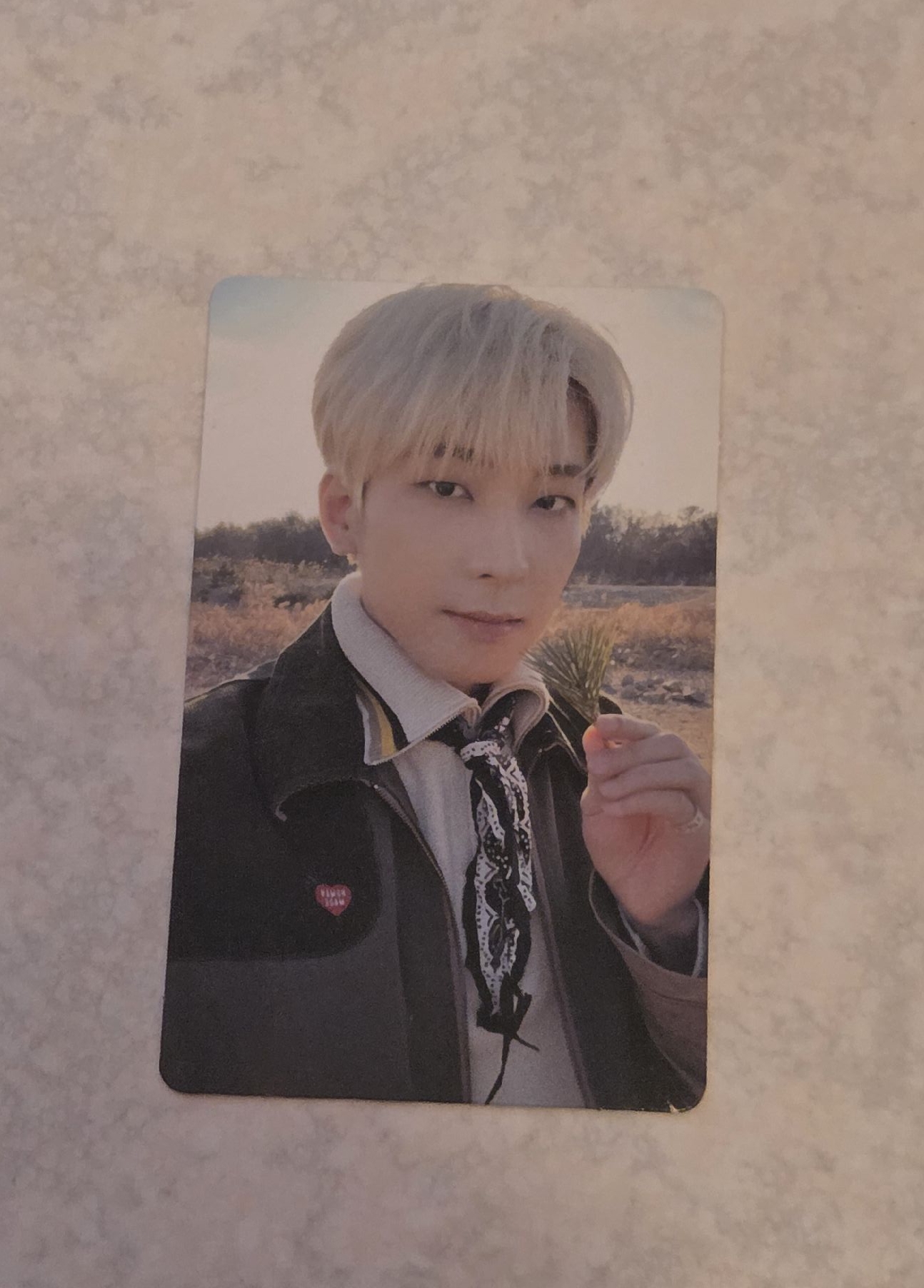 正四WVS特典: 葉子圓佑🌿