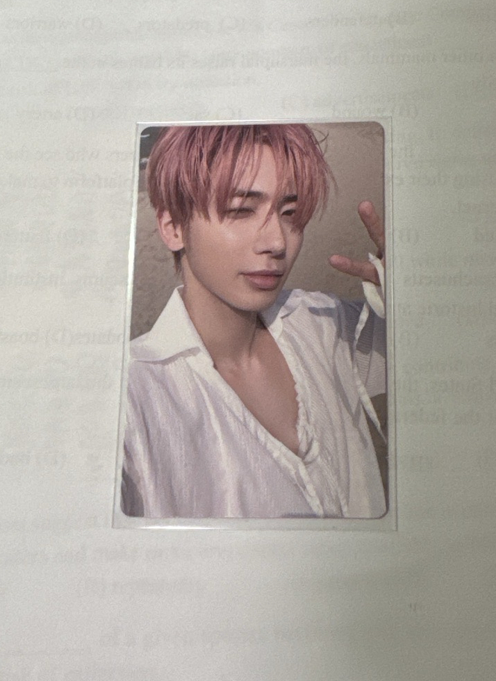 迷五 專卡 海邊顯