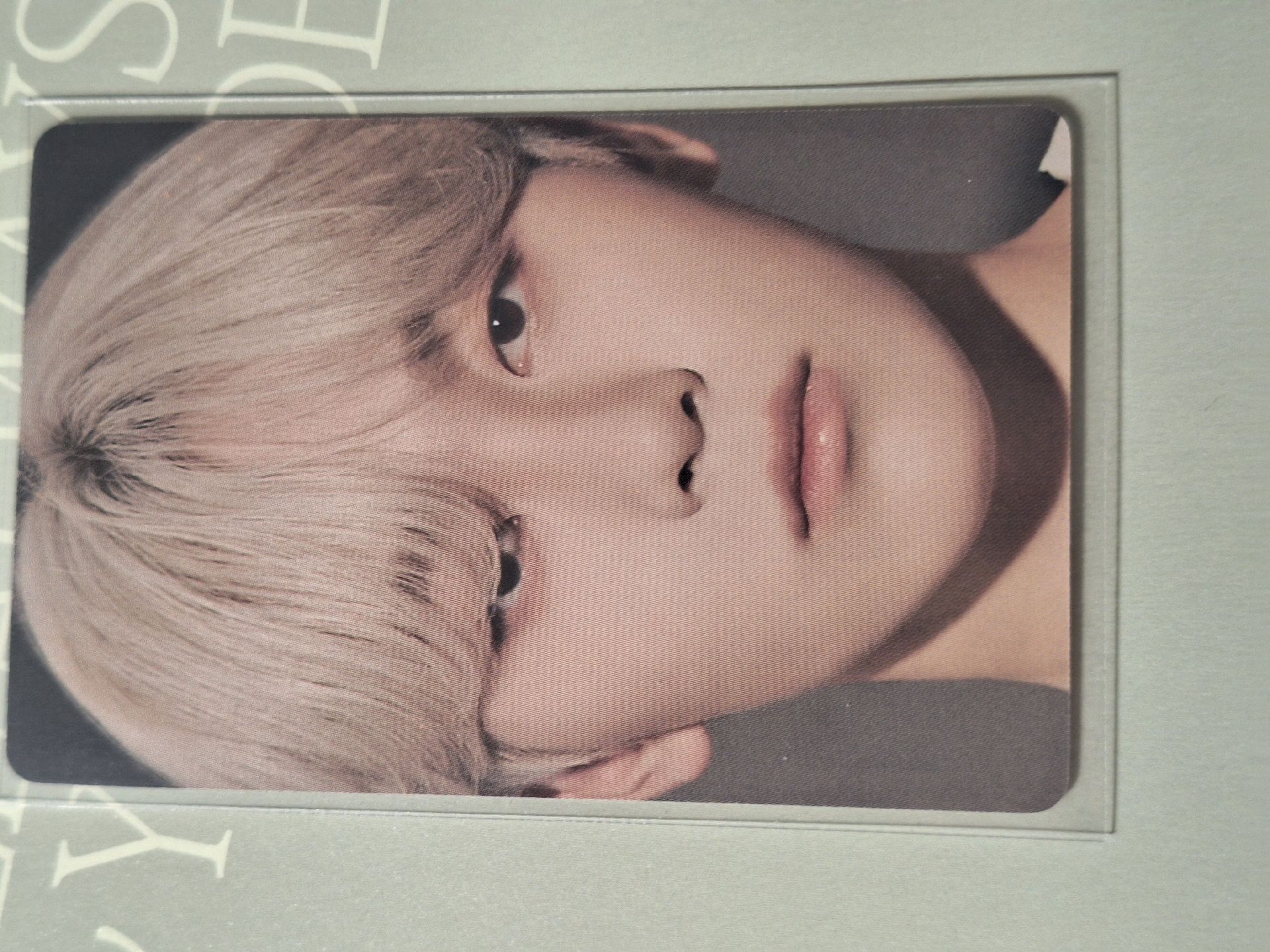 D社大臉喵喵喵🥸兩張一起嘻嘻嘻