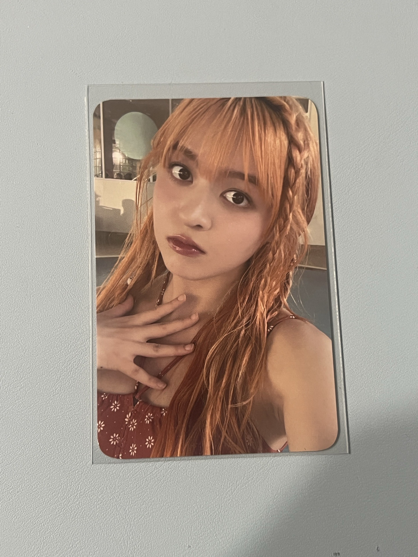 🩵仲夏夜 k4 特典卡 預售莉