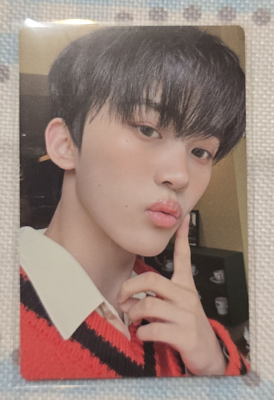 朴堵²賢 Nerd專卡