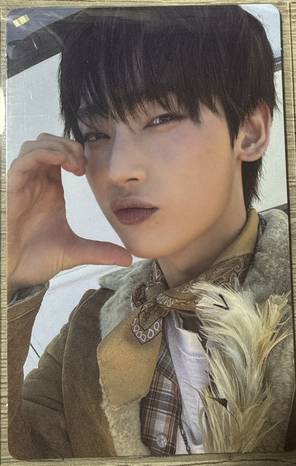 不知道叫什麼的特典妹寶