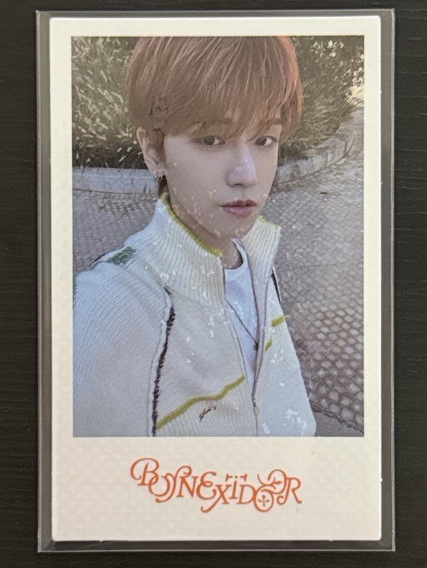 馬德里回憶錄 wvs