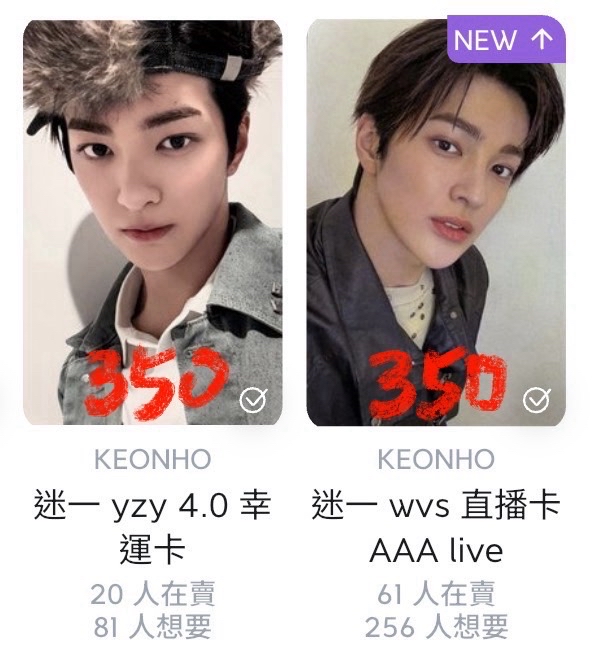 代友售 cortis安🐶