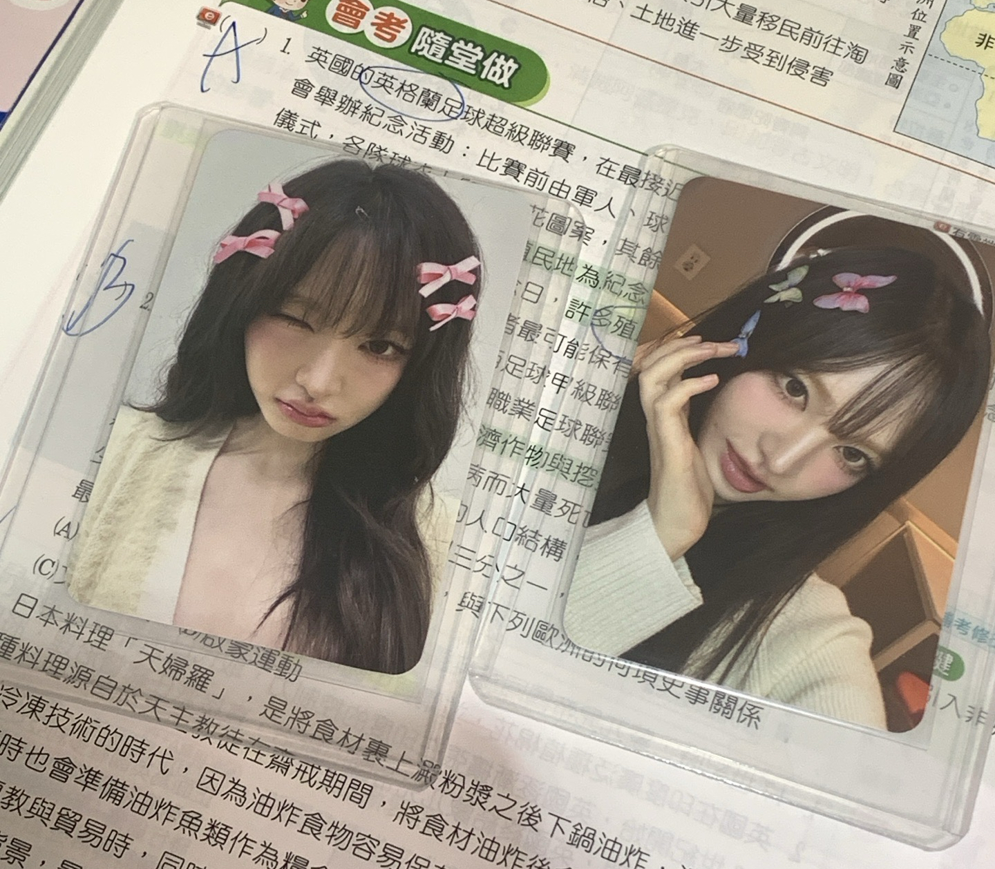 wm6蝴蝶結🎀栗 現貨❗️ 有小禮物💗