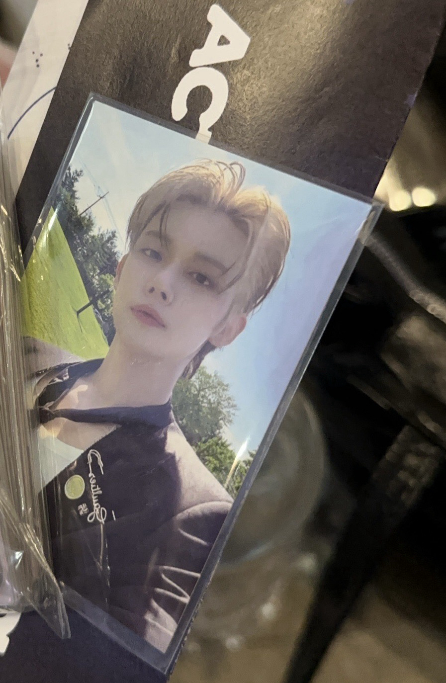 台北粽 竣(.ᓀ ·̫ ᓂ )