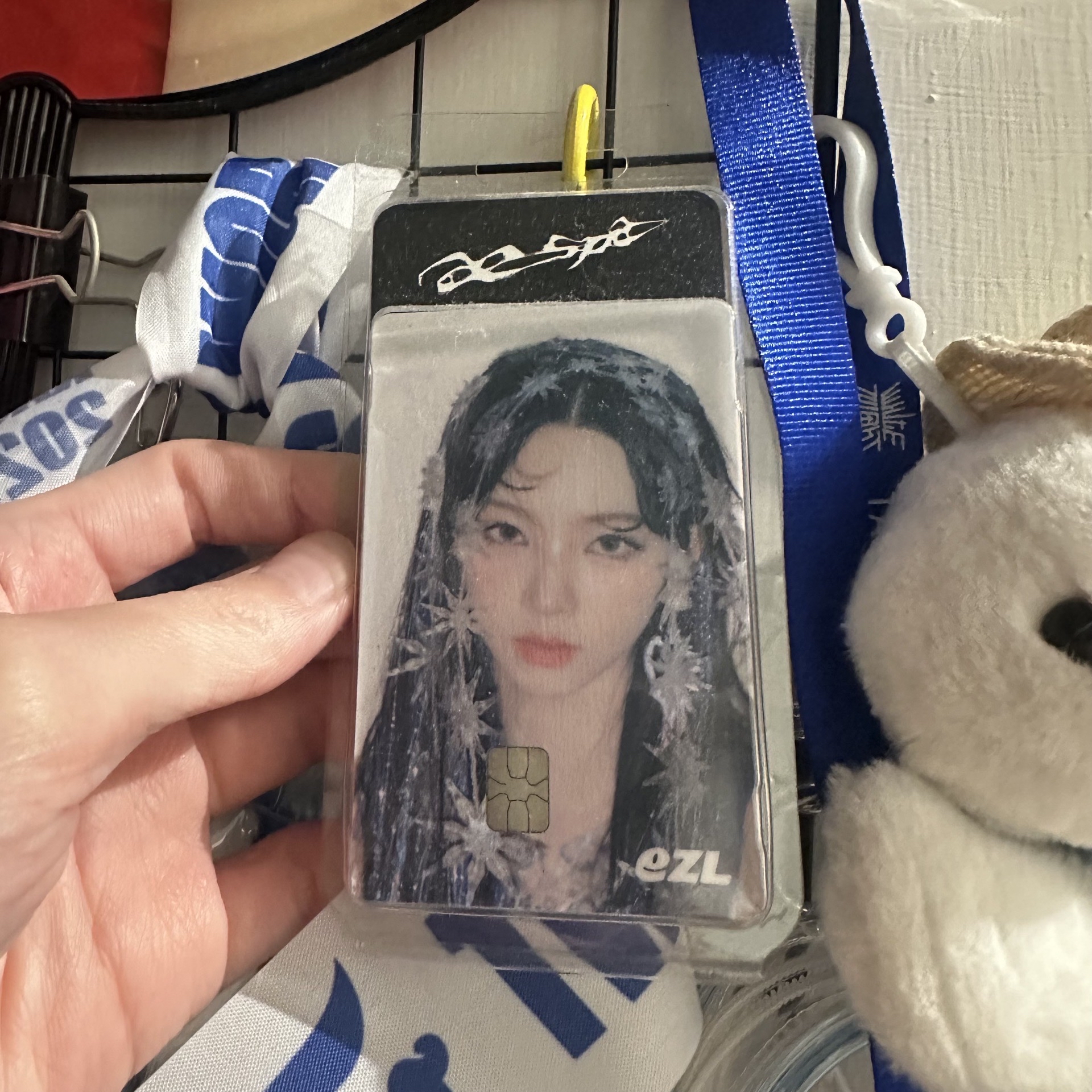 正規一 交通卡 柚 全新有盒