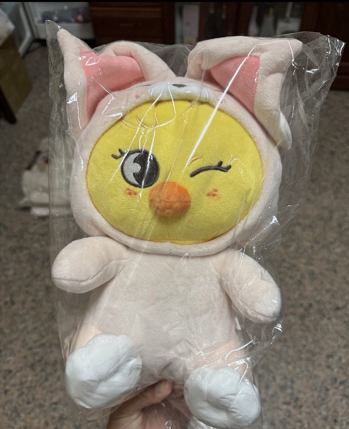 披著狐狸皮的小雞