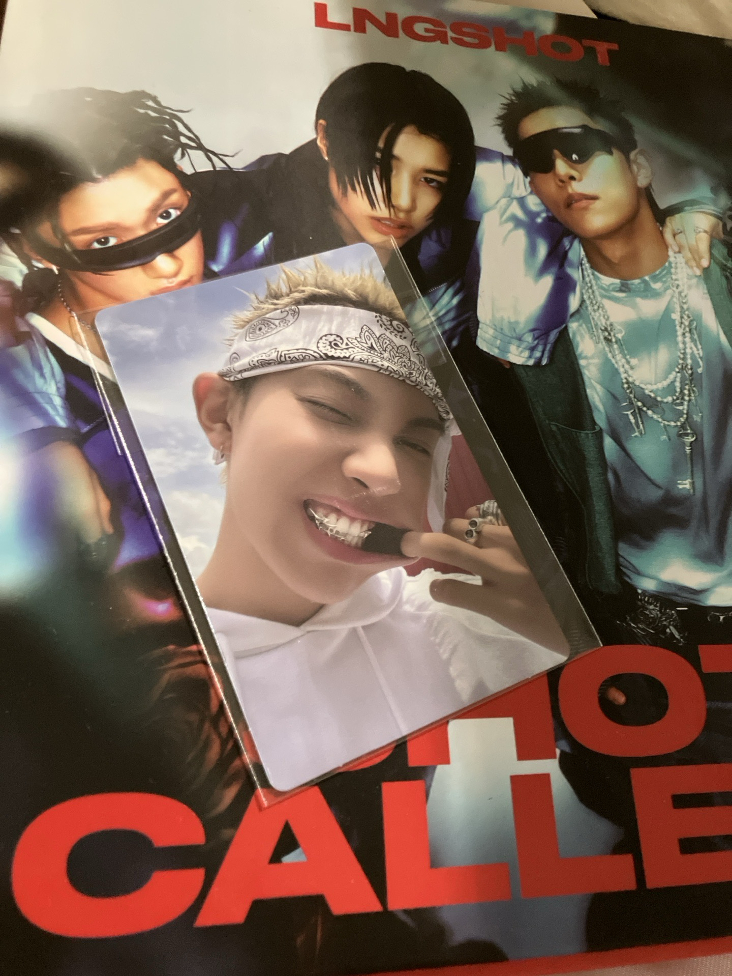 金栗 WVS 預售特典